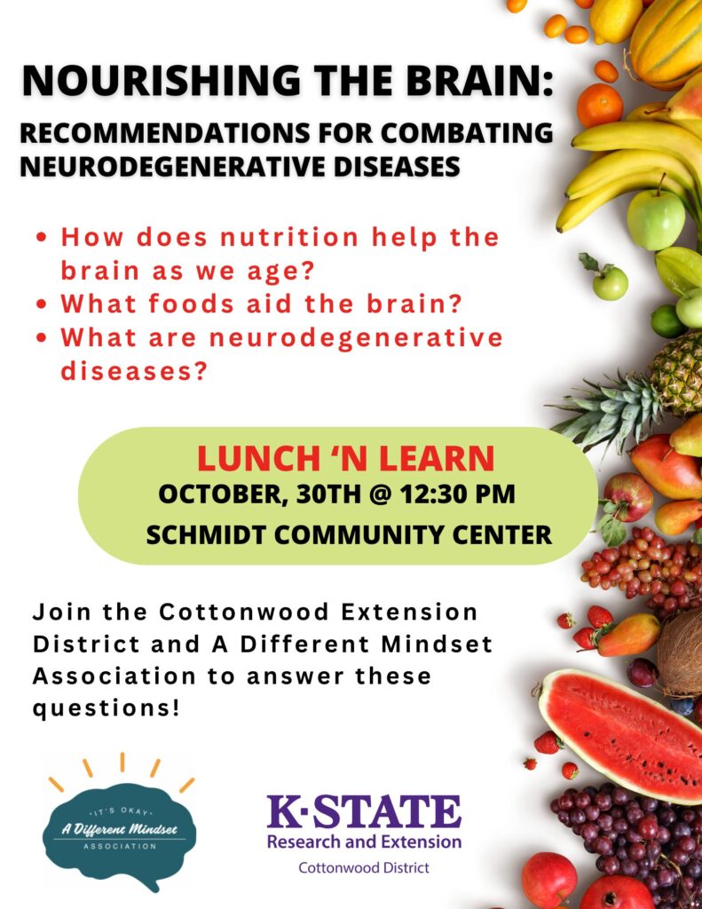 Nourishing the Brain Flyer